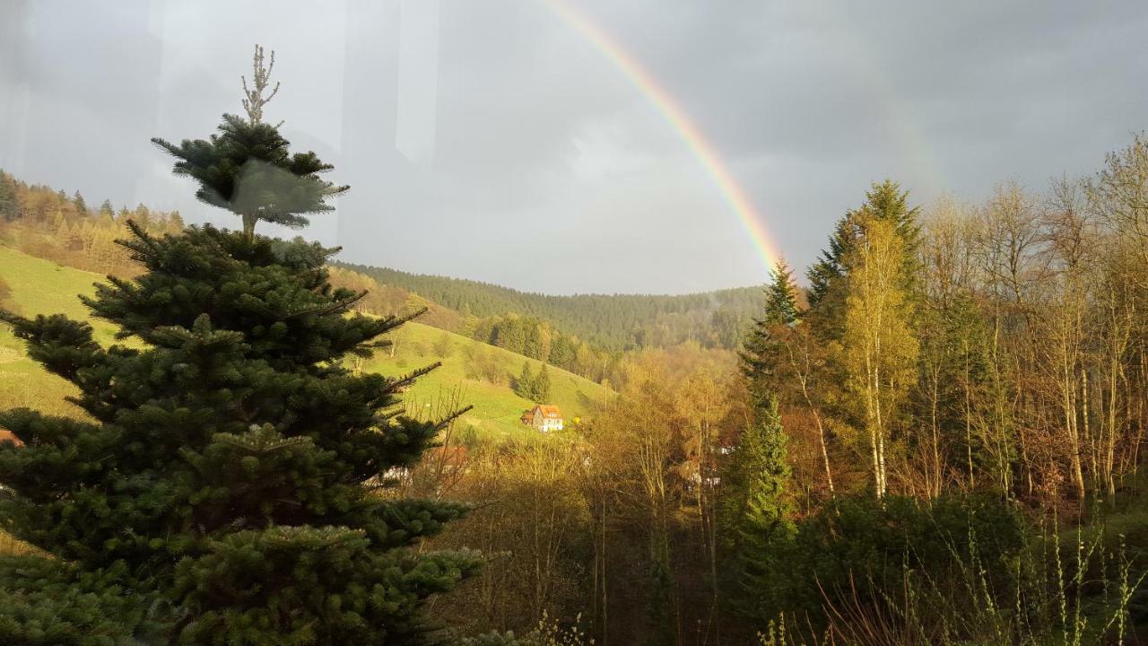 Fewo Bergblick Osterode am Harz Екстер'єр фото
